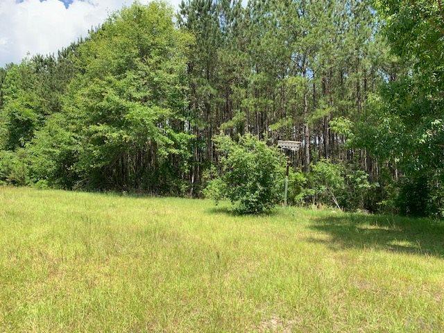 7470 Brooklyn Road Evergreen, AL 36401 - Photo 30 of 38
