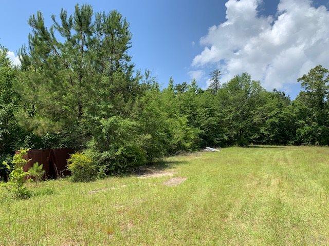 7470 Brooklyn Road Evergreen, AL 36401 - Photo 31 of 38