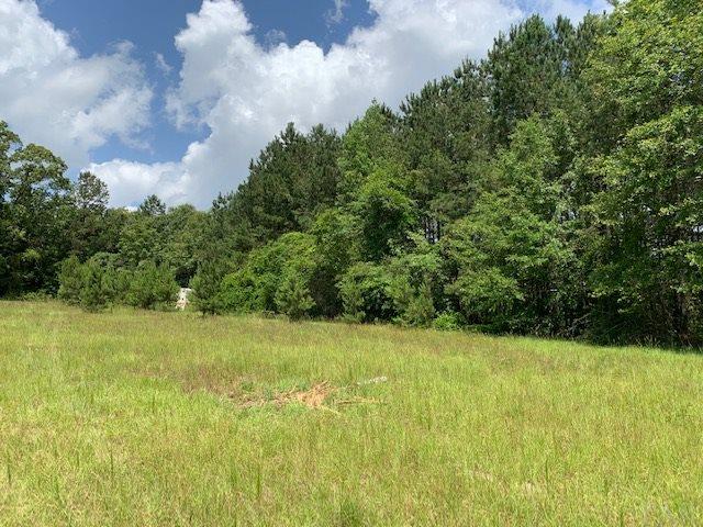 7470 Brooklyn Road Evergreen, AL 36401 - Photo 32 of 38