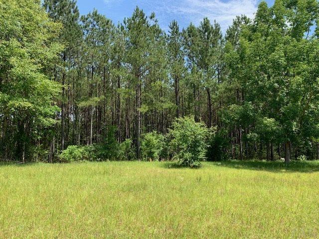 7470 Brooklyn Road Evergreen, AL 36401 - Photo 33 of 38