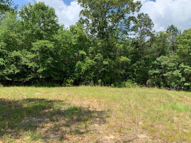 7470 Brooklyn Road Evergreen, AL 36401 - Photo 34 of 38