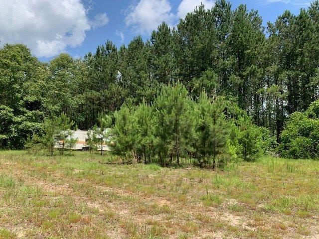 7470 Brooklyn Road Evergreen, AL 36401 - Photo 35 of 38
