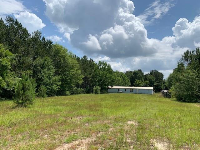 7470 Brooklyn Road Evergreen, AL 36401 - Photo 36 of 38