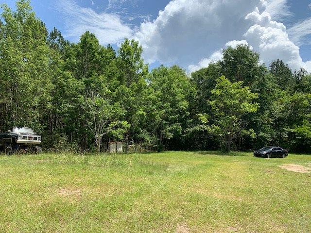 7470 Brooklyn Road Evergreen, AL 36401 - Photo 37 of 38