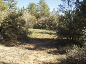 0 Idylwild Road Prescott, AZ 86305 - Photo 1 of 1 Primary Photo
