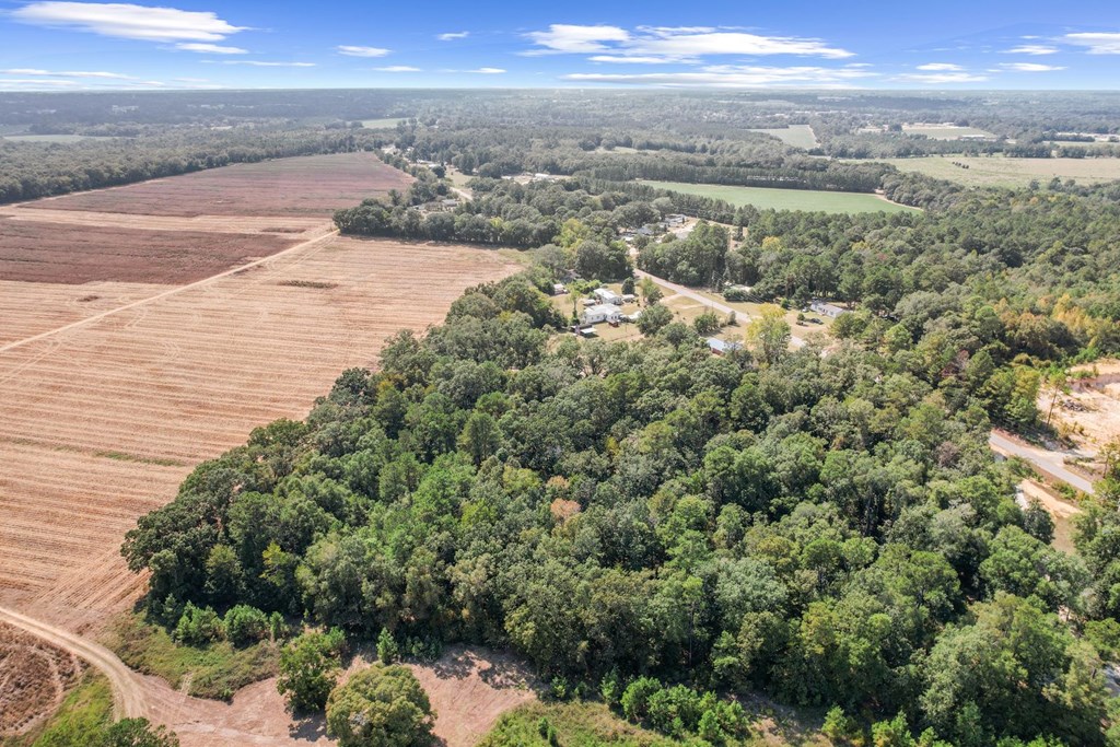 4032 Kinsey Road Dothan, AL 36303 - Photo 44 of 46