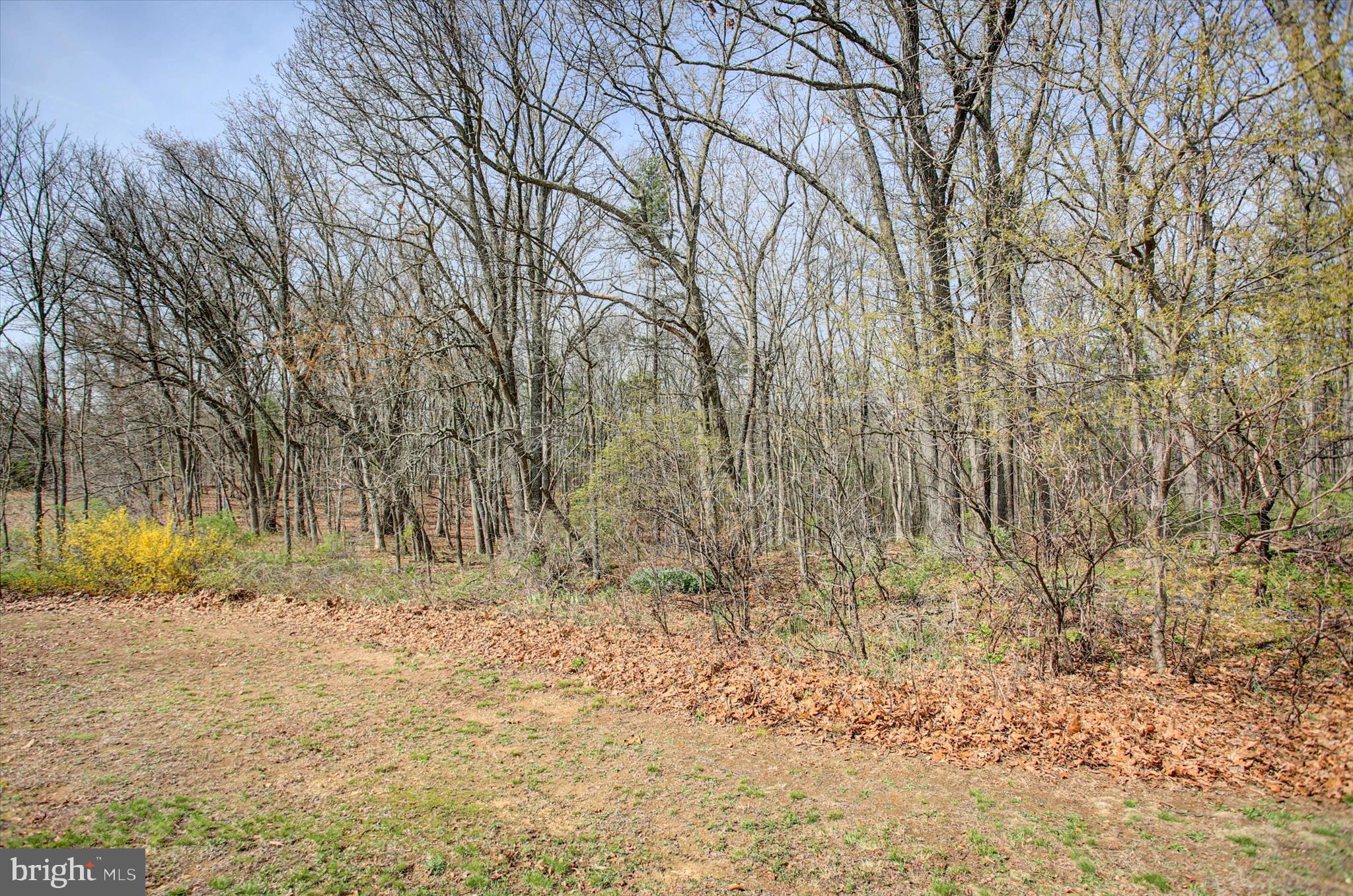 1000 Sawmill Road Warfordsburg, PA 17267 - Photo 35 of 37 View