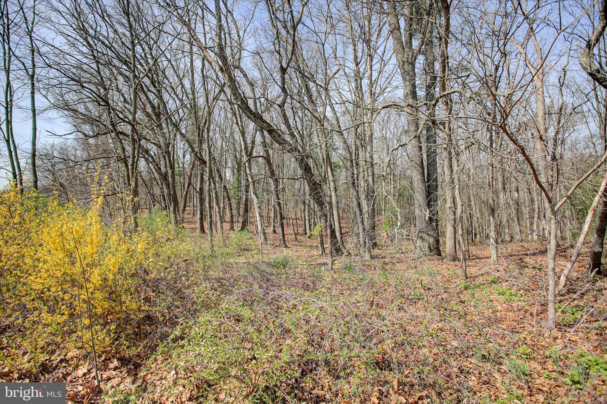 1000 Sawmill Road Warfordsburg, PA 17267 - Photo 36 of 37 View