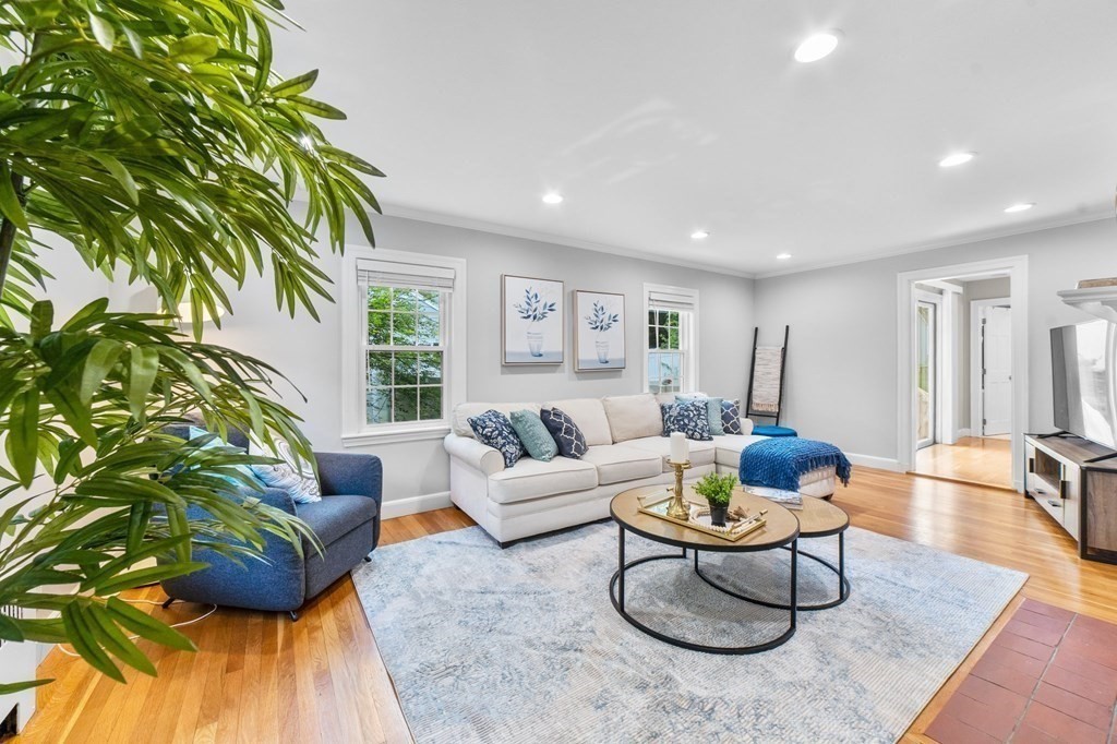 8 Parker Road Needham, MA 02494 - Photo 9 of 28 a living room with furniture and a potted plant