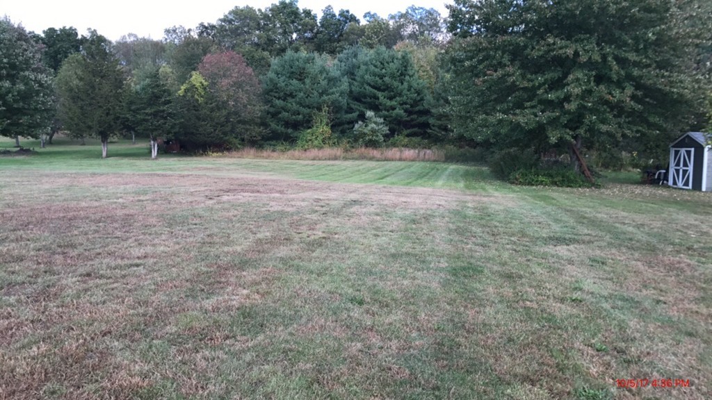 102 Adams Road Grafton, MA 01536 - Photo 5 of 23 a view of outdoor space with trees all around