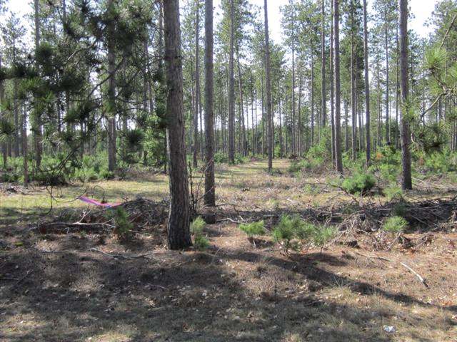 Lot 3 Lee Road, Unit LOT #3 Tomahawk, WI 54487 - Photo 3 of 6 Gallery Image 3