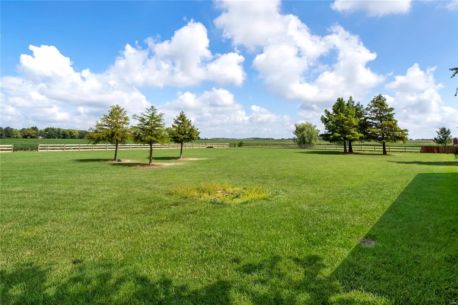 12931 Rose Road Trenton, IL 62293 - Photo 45 of 50