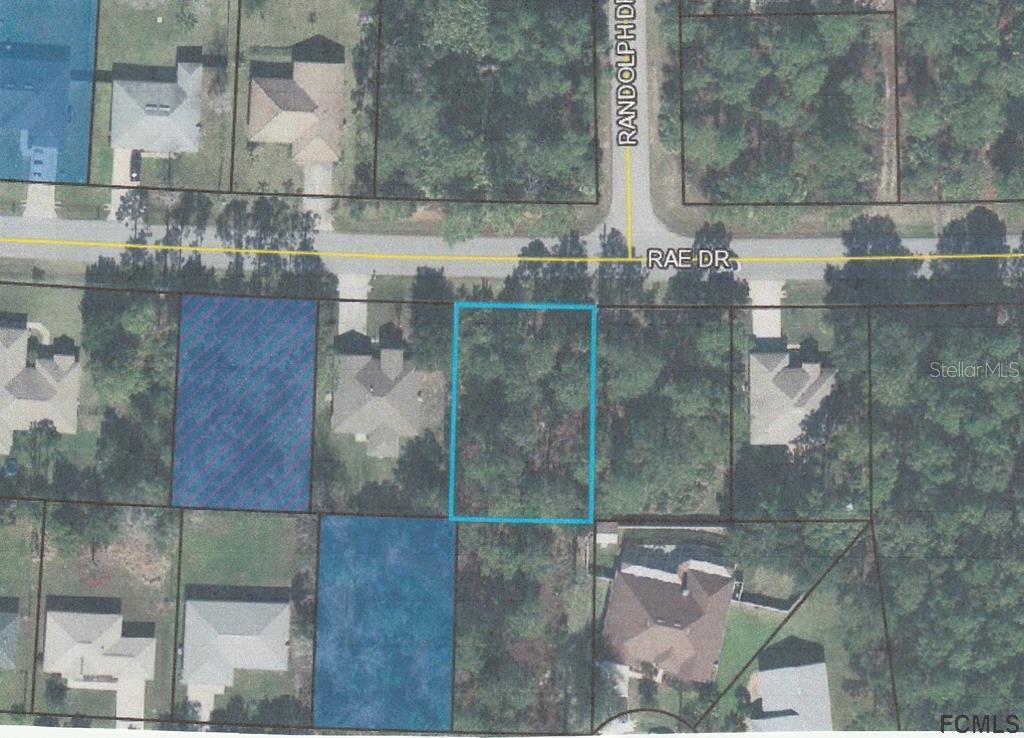 64 Rae Drive Palm Coast, FL 32164 - Photo 1 of 1 Gallery Image 1