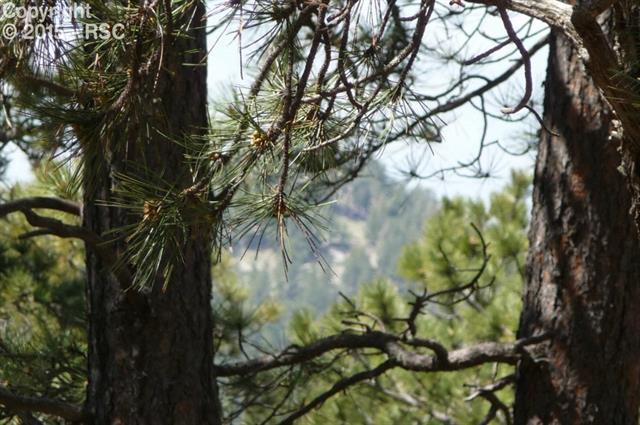 18145 Cumbres Road Peyton, CO 80831 - Photo 29 of 30 Gallery Image 29