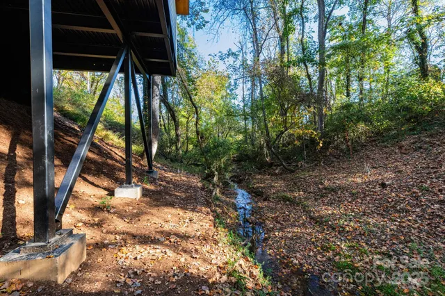 a view of a forest that has large trees