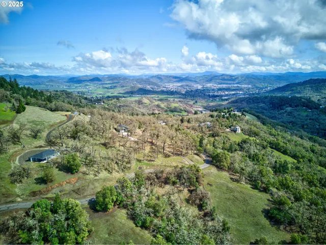 a view of a city with lush green forest