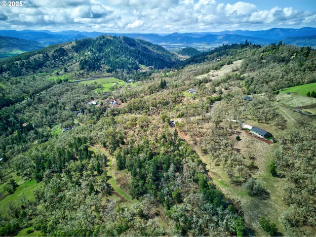 a view of a lush green forest with lots of trees