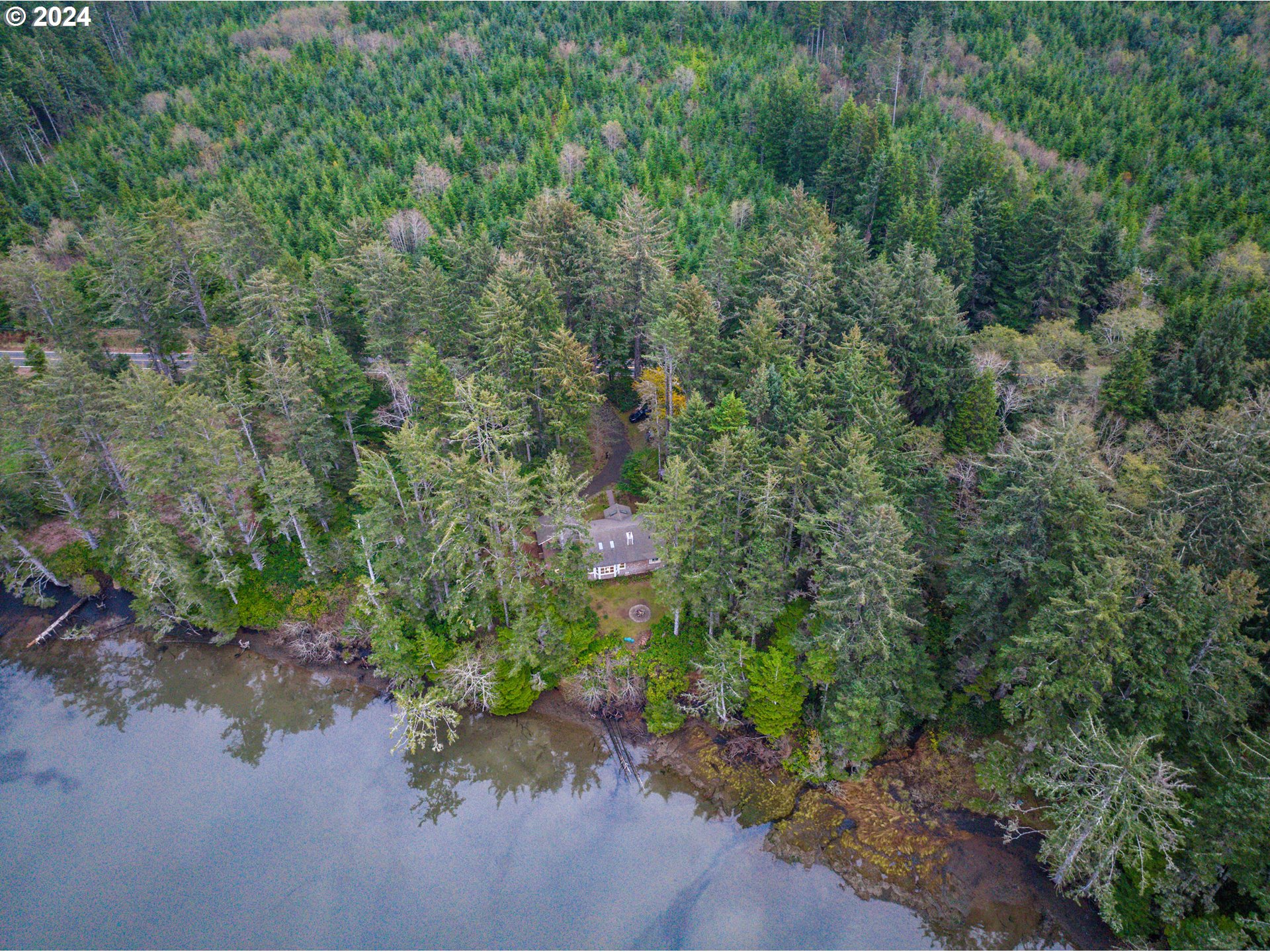 9350 Whiskey Creek Road Tillamook, OR 97141 - Photo 3 of 32 view of a forest with a street