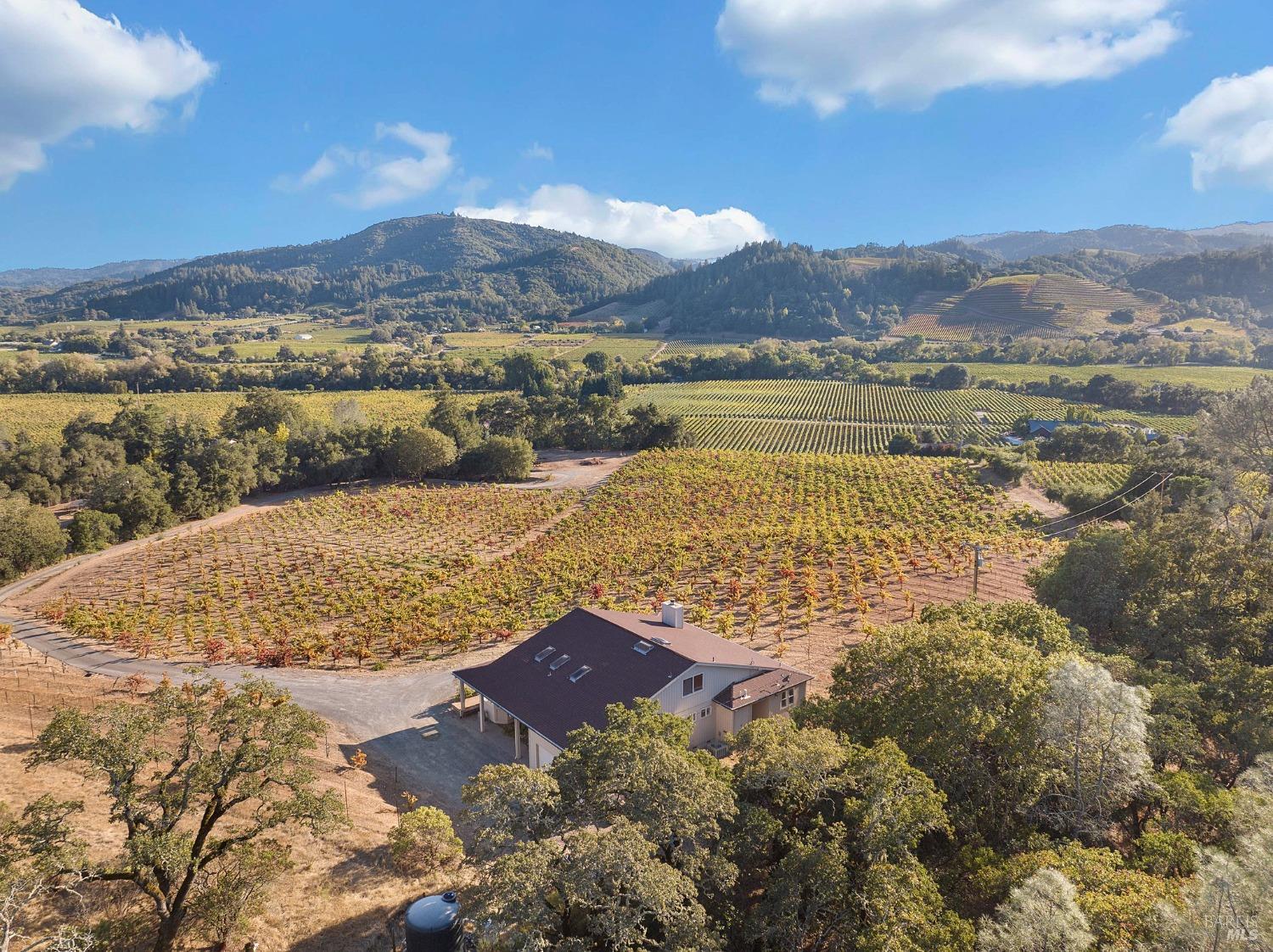 8320 Dry Creek Road Geyserville, CA 95441 - Photo 1 of 1 Gallery Image 1