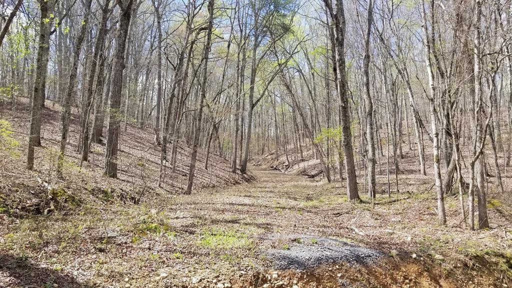 0 Spruce Willow & Maple Spring Spring City, TN 37381 - Photo 2 of 8 Gallery Image 2