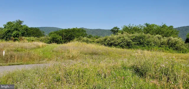 a view of lake with green space