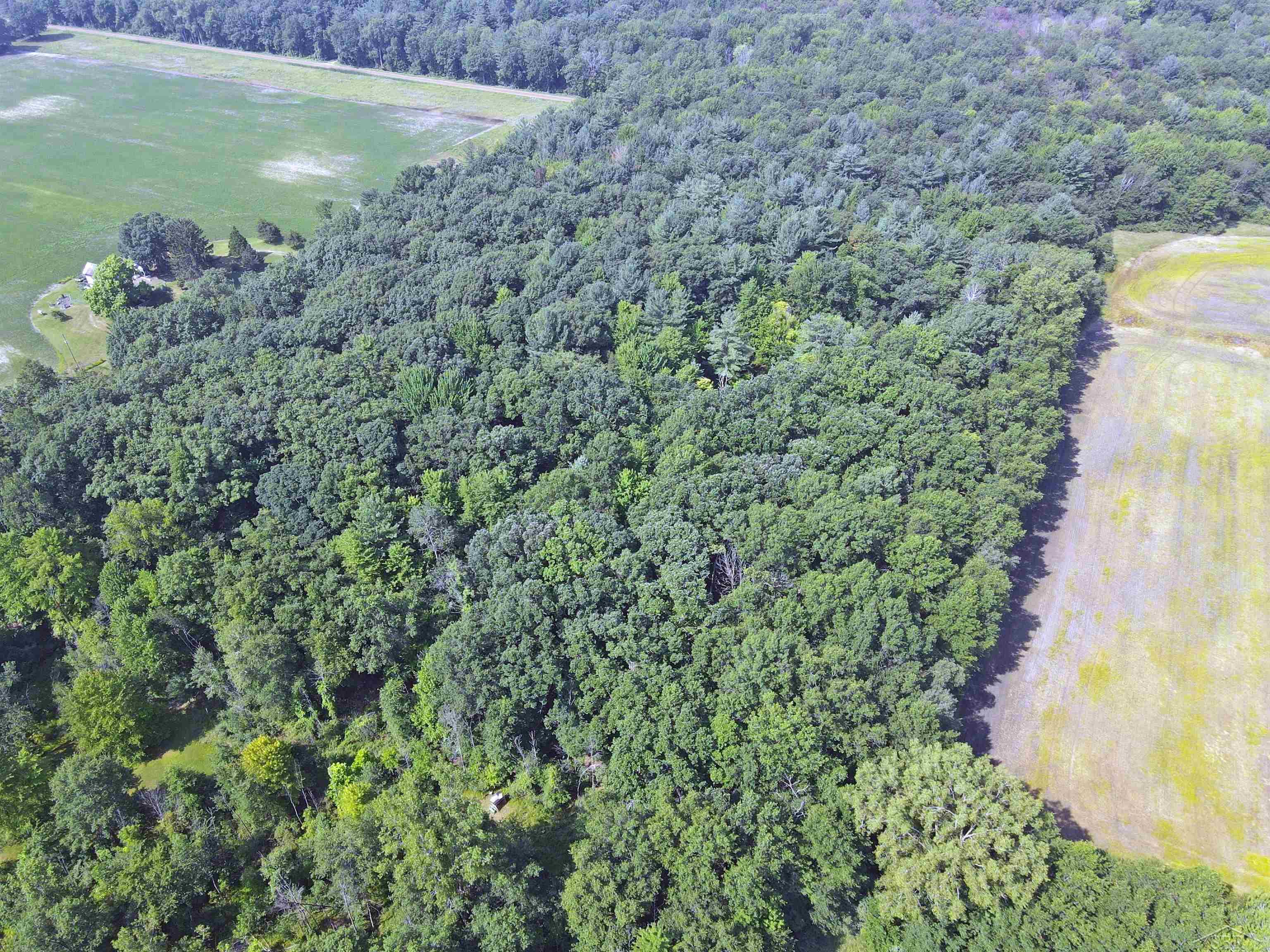22000 West Burt Road Brant, MI 48614 - Photo 5 of 24