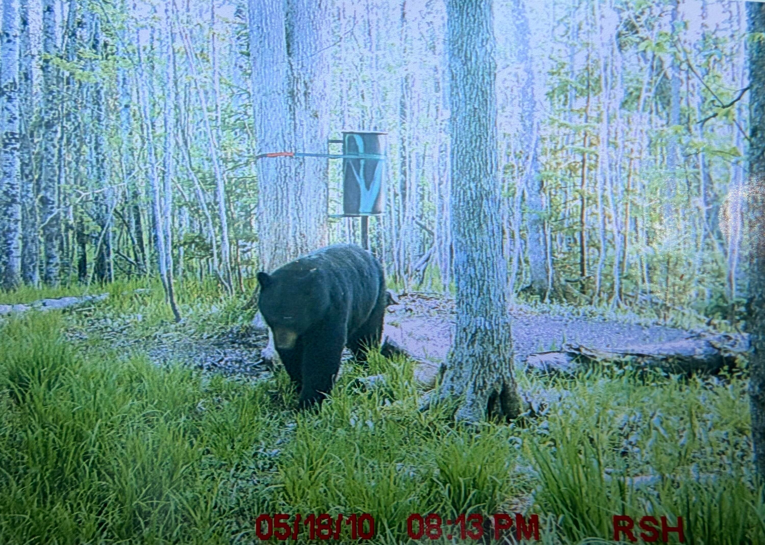 Tbd North Hulbert Road Eckerman, MI 49728 - Photo 46 of 92 Gallery Image 46