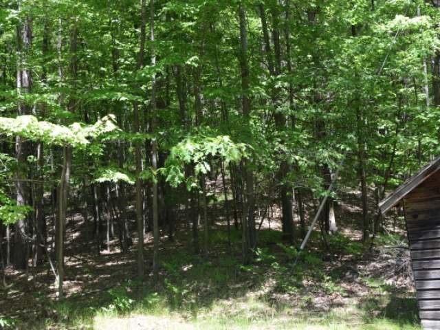 On Vets Memorial Drive Rhinelander, WI 54501 - Photo 7 of 20 Gallery Image 7