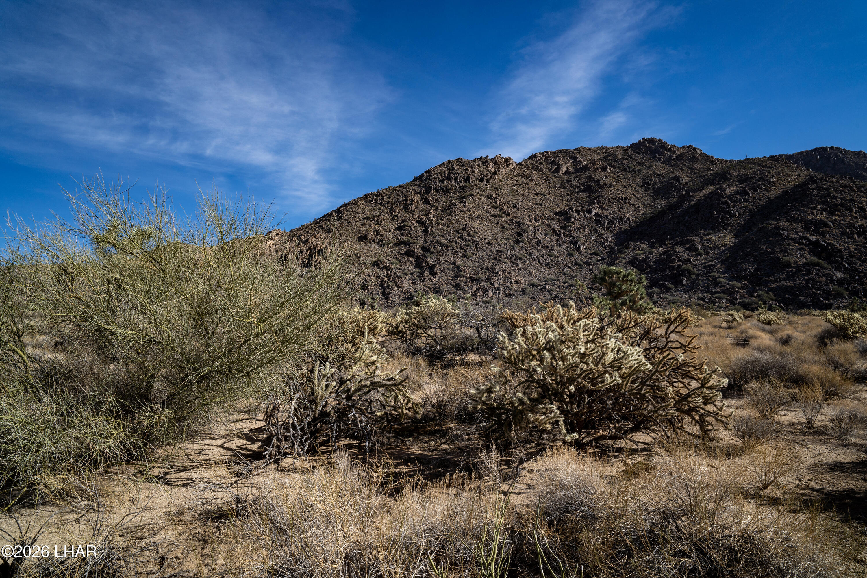 245-02-152 South Carrow Road Yucca, AZ 86438 - Photo 12 of 18 DSC02257