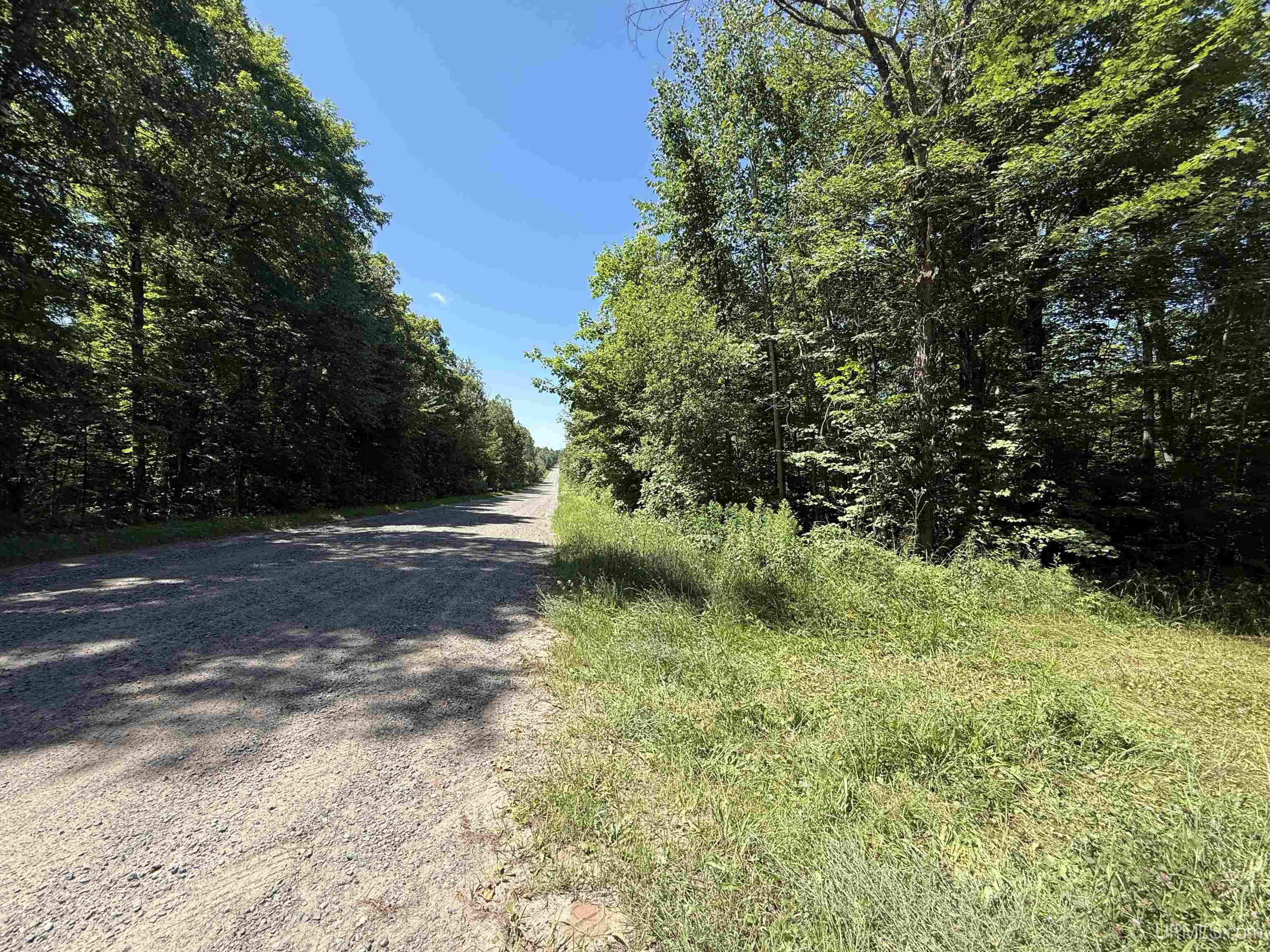 33.85-acres East Cable Lake Road Crystal Falls, MI 49920 - Photo 8 of 13