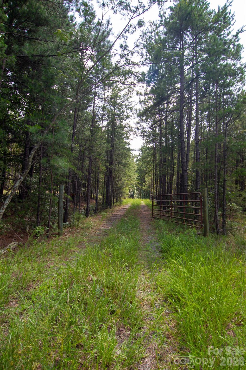 2682 Cold Springs Road Concord, NC 28025 - Photo 2 of 14 Gallery Image 2