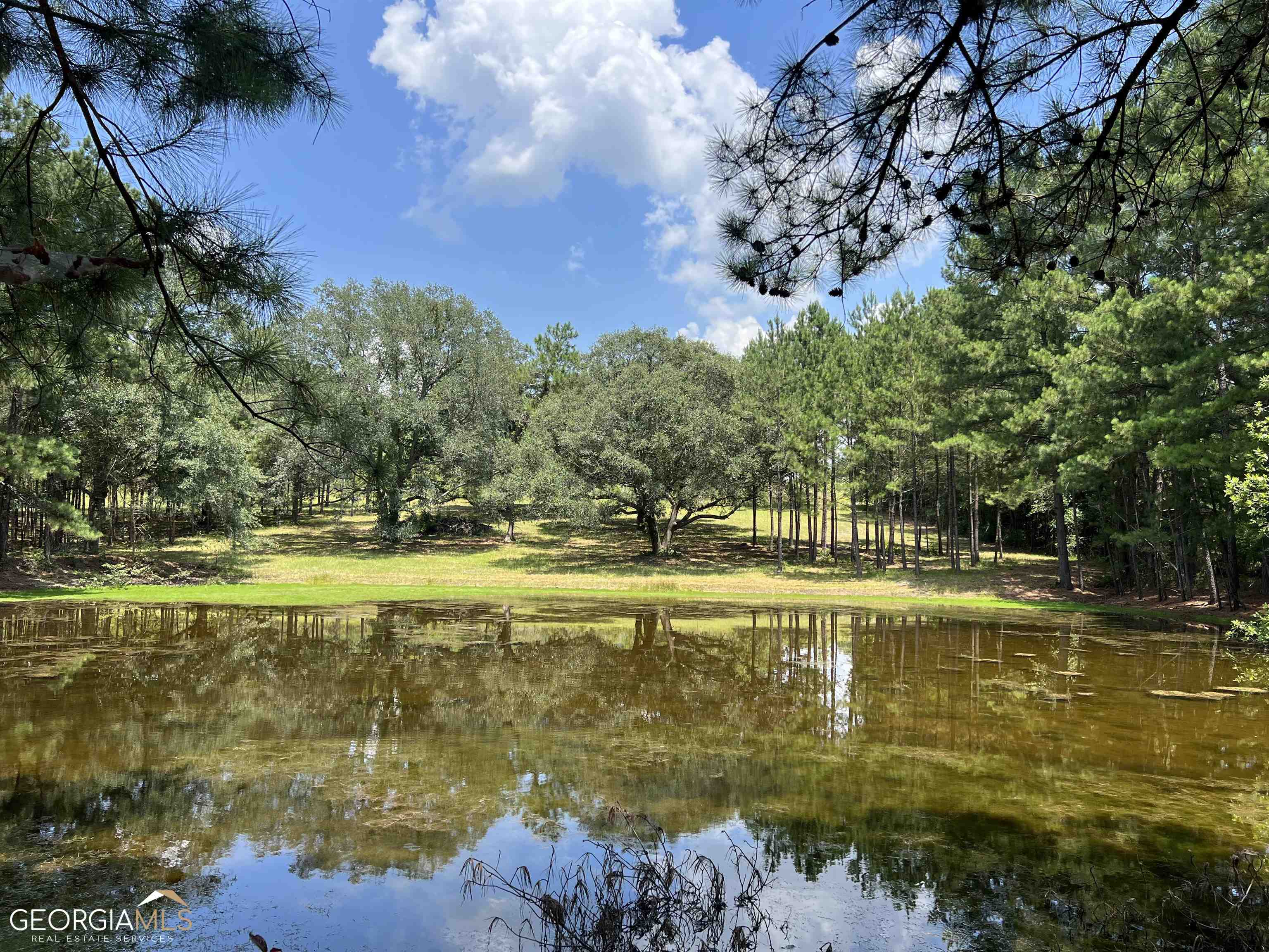 810 Old River Road Uvalda, GA 30473 - Photo 1 of 1 Gallery Image 1