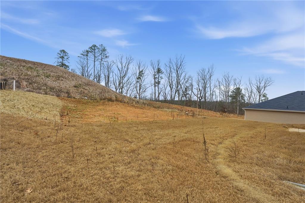 564 Pemberton Street Euharlee, GA 30145 - Photo 35 of 41