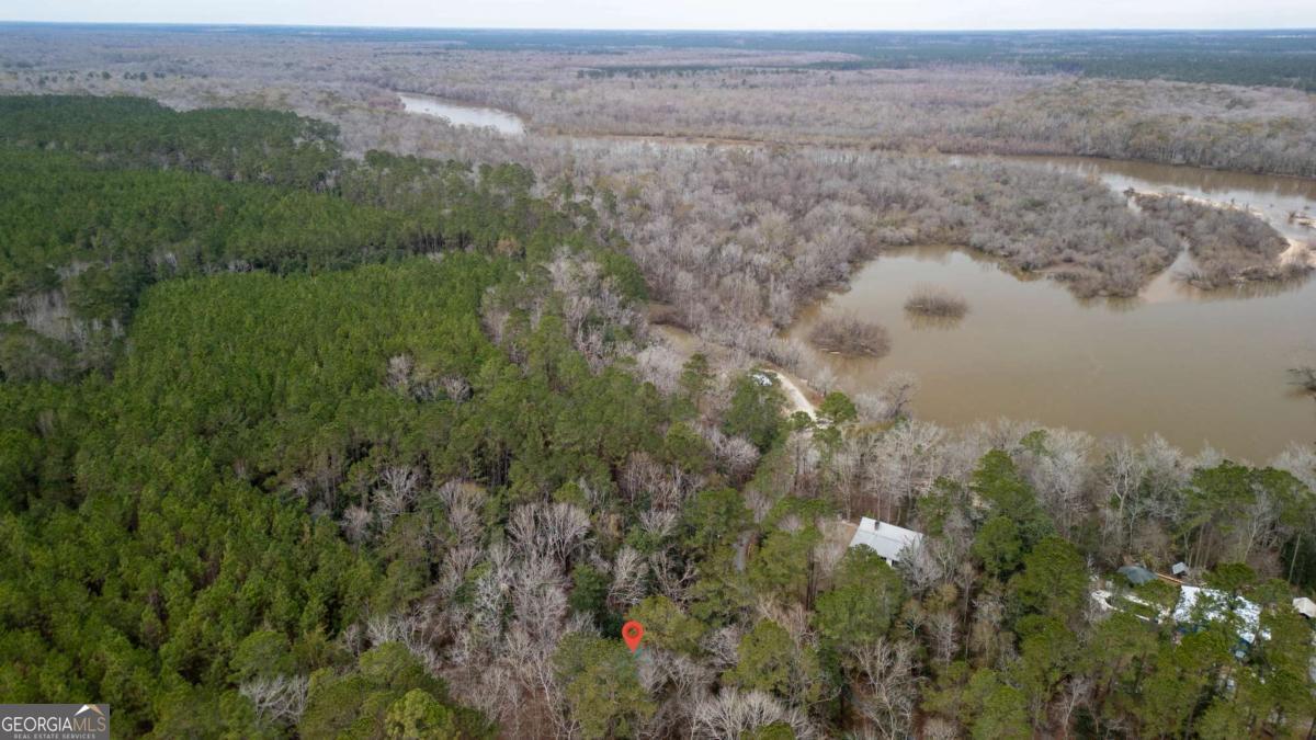 1380 Landing Road Baxley, GA 31513 - Photo 59 of 59