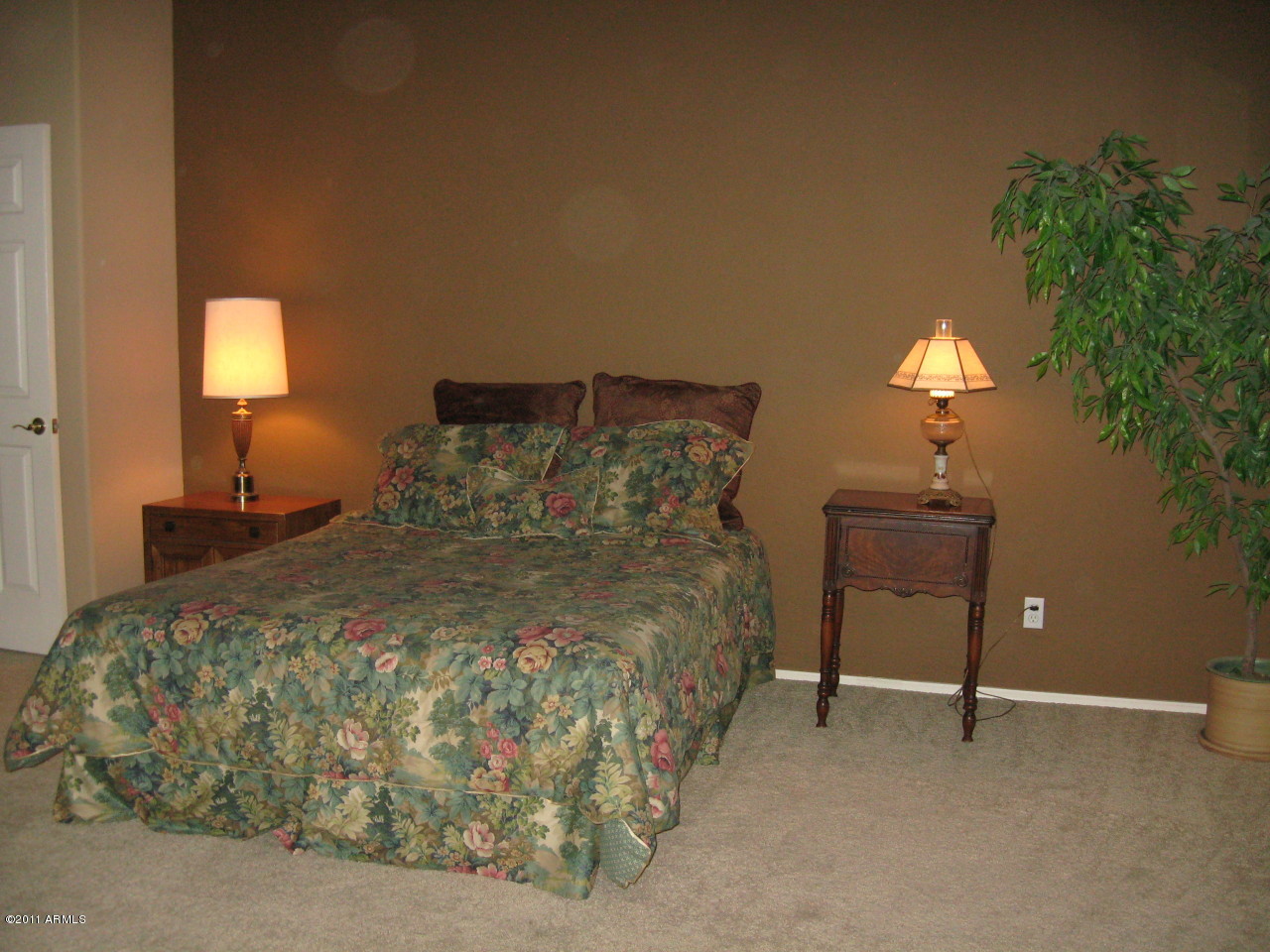 4462 East Decatur Street Mesa, AZ 85205 - Photo 22 of 39 photo