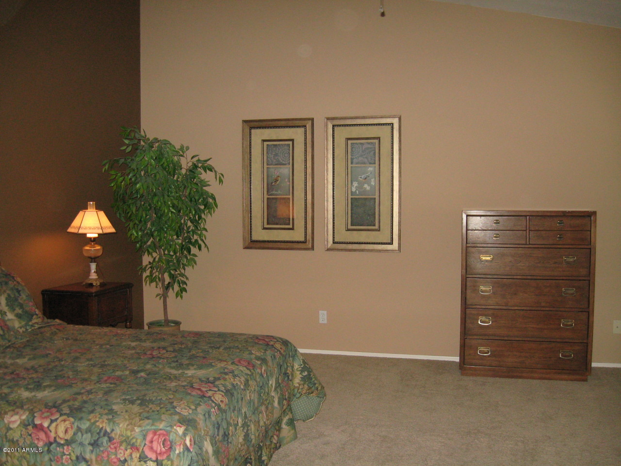 4462 East Decatur Street Mesa, AZ 85205 - Photo 23 of 39 photo