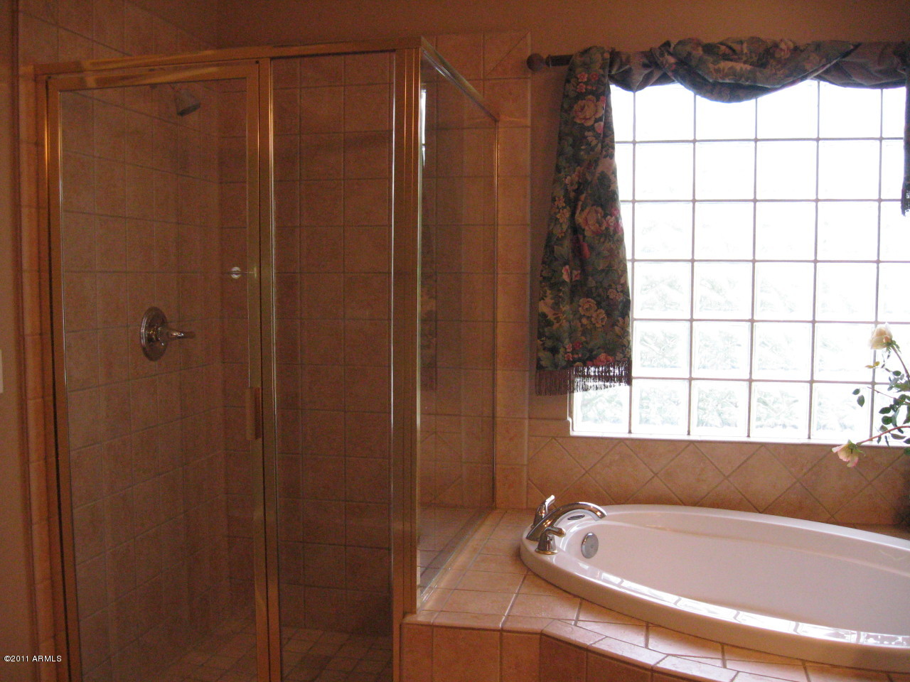 4462 East Decatur Street Mesa, AZ 85205 - Photo 25 of 39 photo