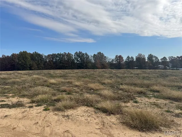 $574,900 | 108 Hickory Heits Court, Moscow Mills, MO 63362