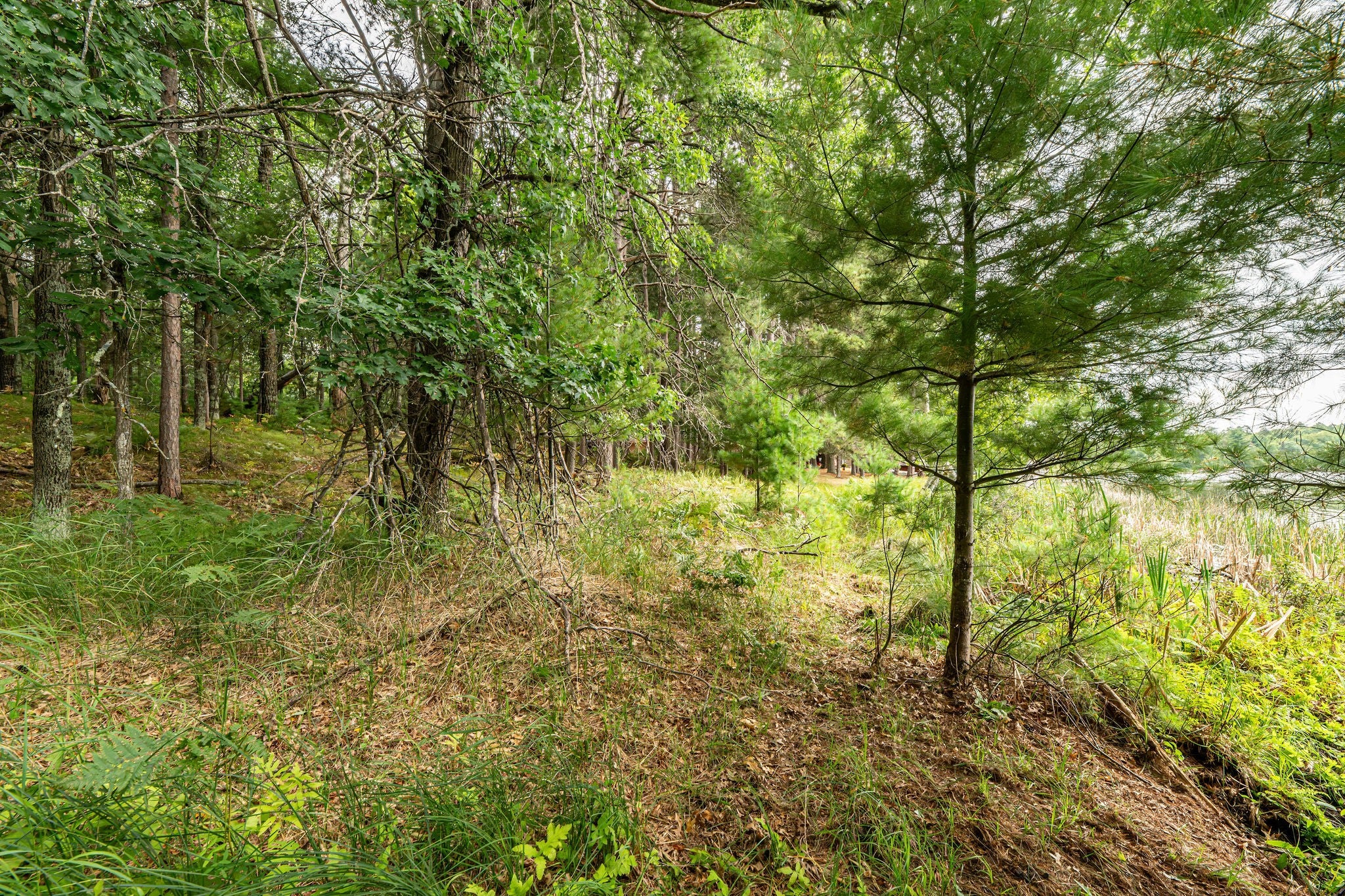 3 Birch Lake Road Solon Springs, WI 54873 - Photo 12 of 23 Gallery Image 12