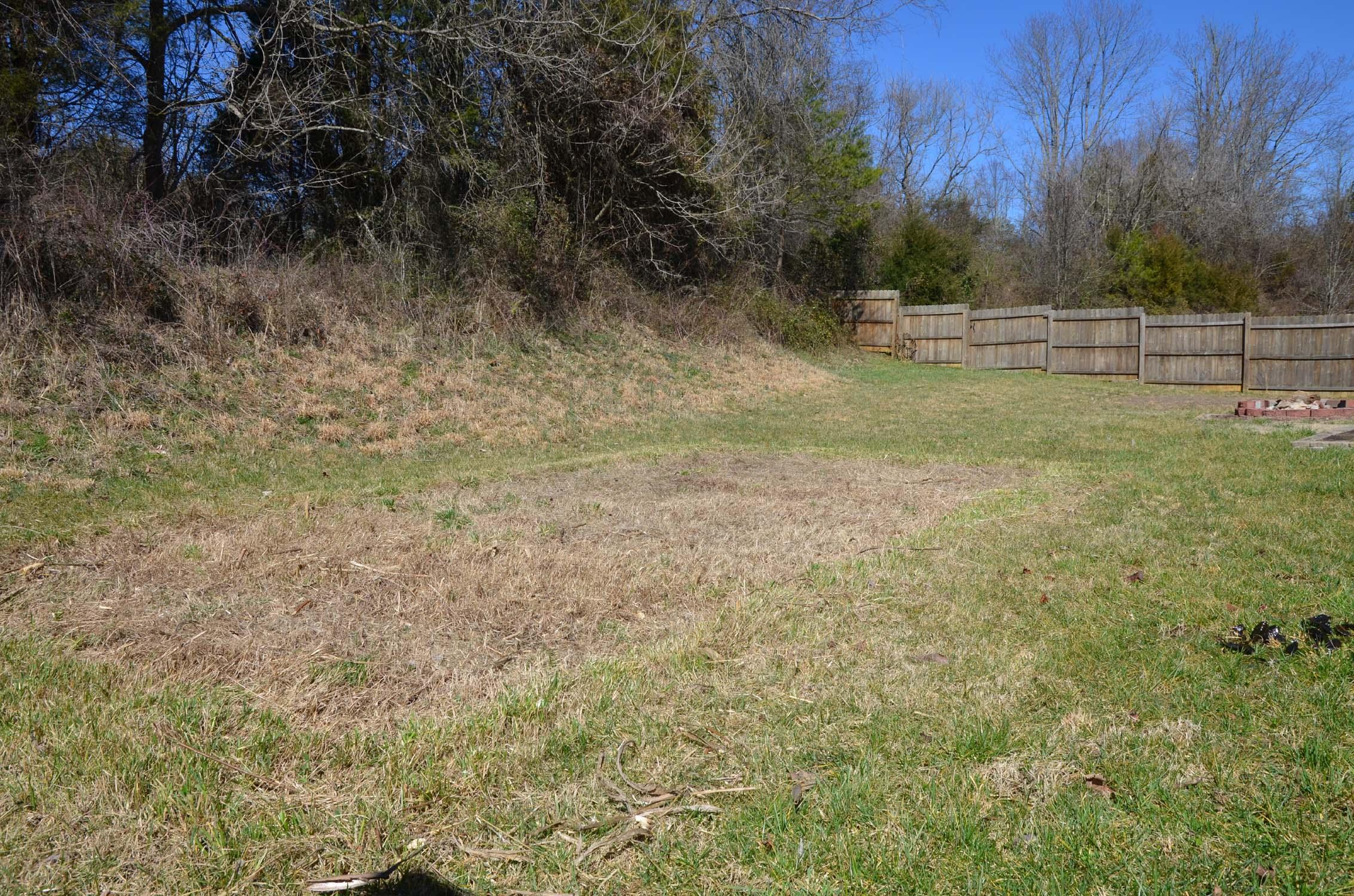 7613 Freedom Lane Corryton, TN 37721 - Photo 14 of 18 Backyard2