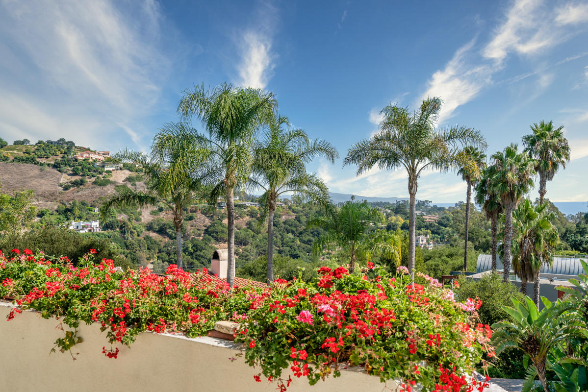 350 Las Alturas Road Santa Barbara, CA 93103 - Photo 30 of 49 a view of a flower in a garden