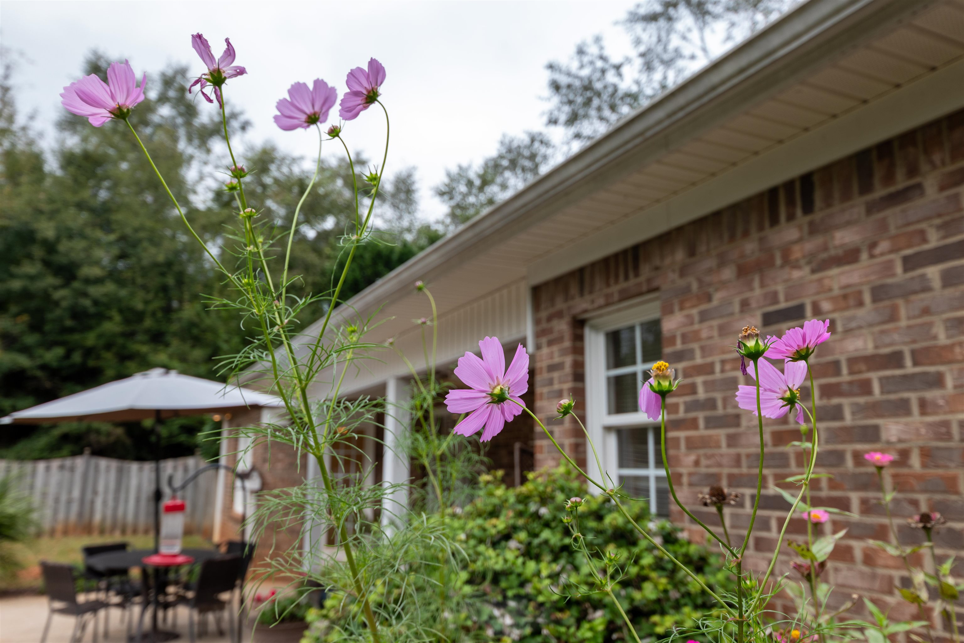 516 South Pond View Drive Duncan, SC 29334 - Photo 9 of 25