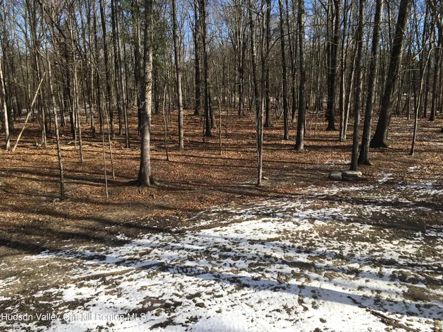 a view of a backyard with trees