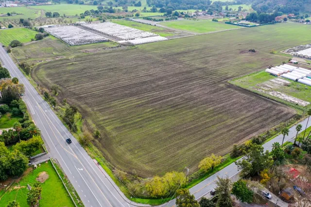 a view of a backyard with plants and lake view