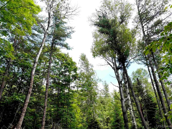 $45,000 | Tbd Westwood Drive, Ishpeming, MI 49849