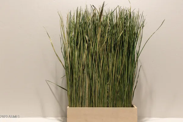 $20,000 | 8161 East Alameda Road, Scottsdale, AZ 85255