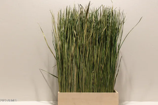 a kitchen with white cabinets