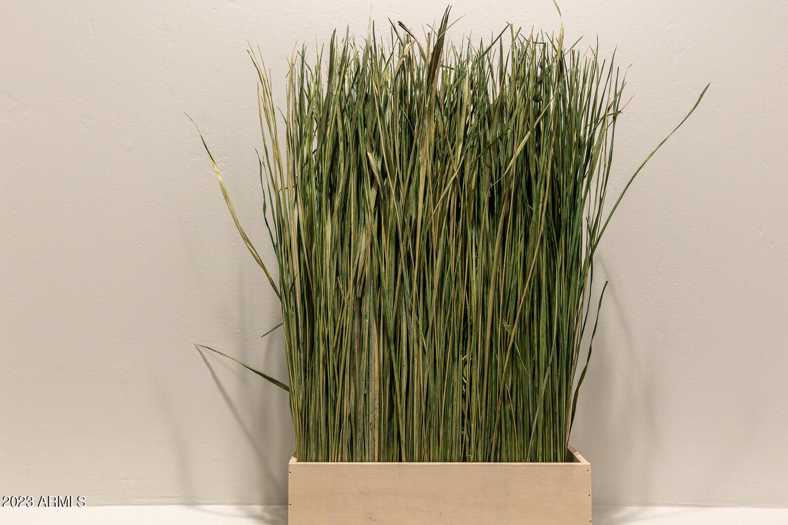 8161 East Alameda Road Scottsdale, AZ 85255 - Photo 11 of 107 10_8161_E_Alameda_Rd__010_mls