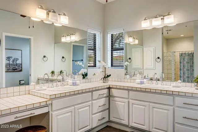 a view of a park with large trees