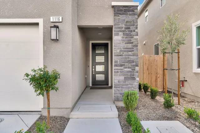 a plant in front of a door